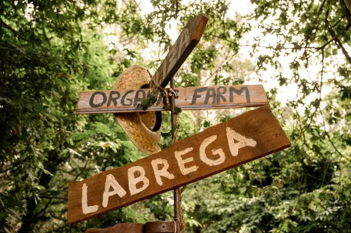 Documentación e  Cartelería